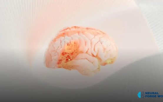 How Governments Are Regulating AI: Insights and Impacts