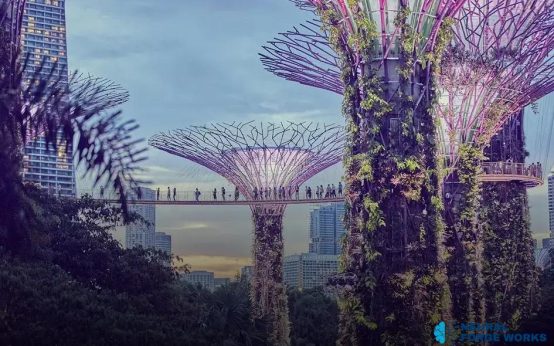 The Future of Artificial Intelligence: Opportunities Await